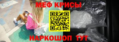 стаф Кингисепп
