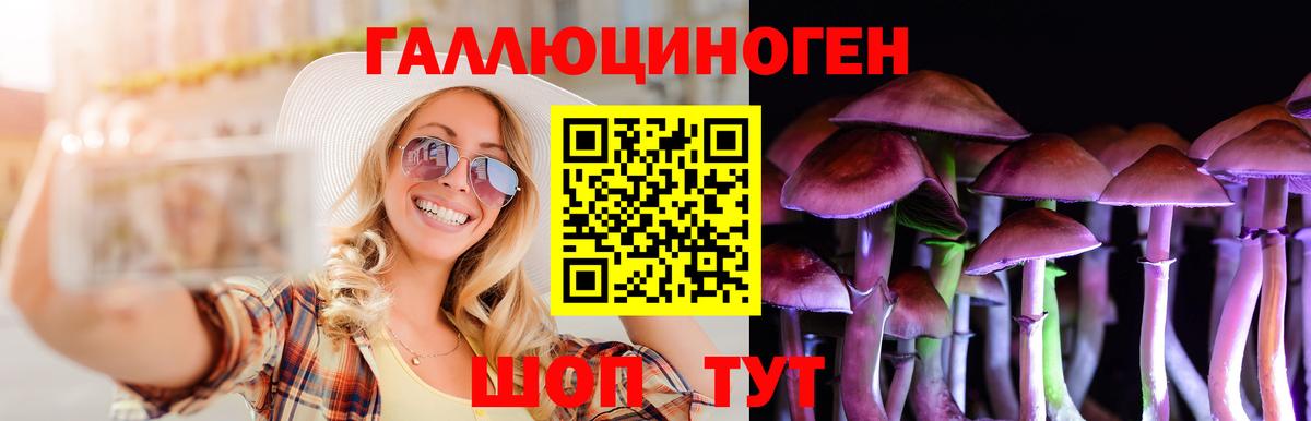 Кропоткин  Псилоцибиновые грибы Psilocybe  Псилоцибиновые грибы ЛСД  Вход с VPN 